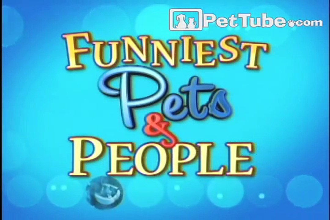 Funniest Pets & People  Episode 2- PetTube