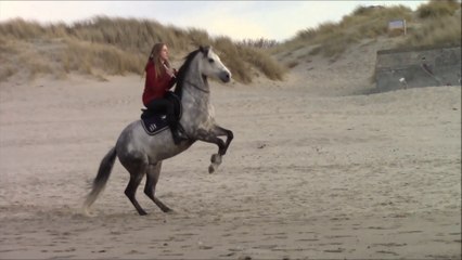 Sortie à la plage (sidepull - cordelette)