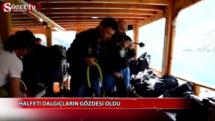 Halfeti dalgıçların gözdesi oldu
