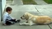 Sweet Mama Dog Interacting with a Beautiful Child with Down Syndrome. From Jim Stenson.