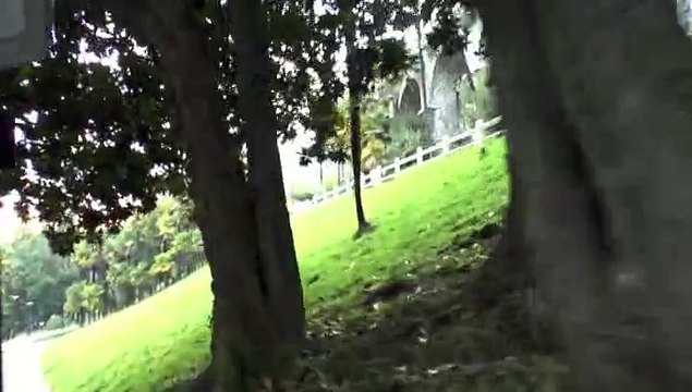 PAU - 9 MARS 2015 - SE RENDRE EN BAS DU BD DES PYRÉNÉES EN VOITURETTE A TRAVERS LA PALMERAIE.