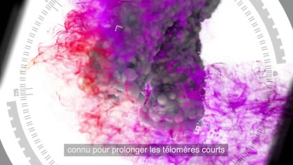 jeunesse global romande