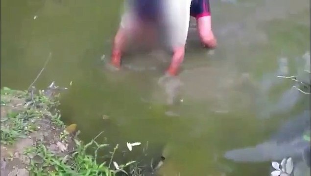 Pécher avec les mains, puis avec une canne à pêche électrique