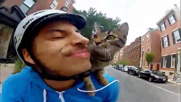 Rudi Saldia promène son chat à vélo dans les rues de la ville