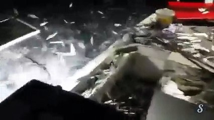 Pêche à la dynamite au liban. DINGUE !!!!