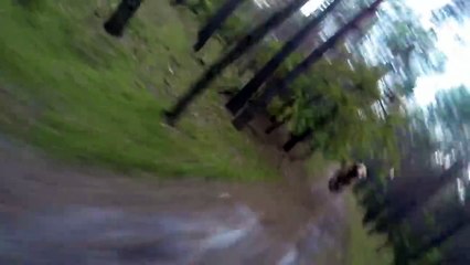 Ce type a vu la mort de très près ! Il s'est fait charger par un grizzly dans les bois ! Regardez !