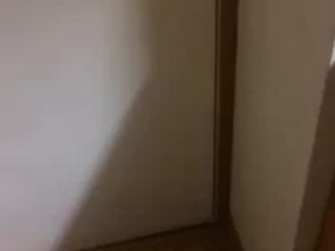 Des chatons savent qu'il est l'heure de manger ! Je suis MDR !