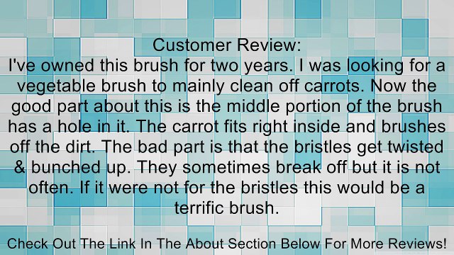 OXO Good Grips Natural Bristle Veggie Brush Review