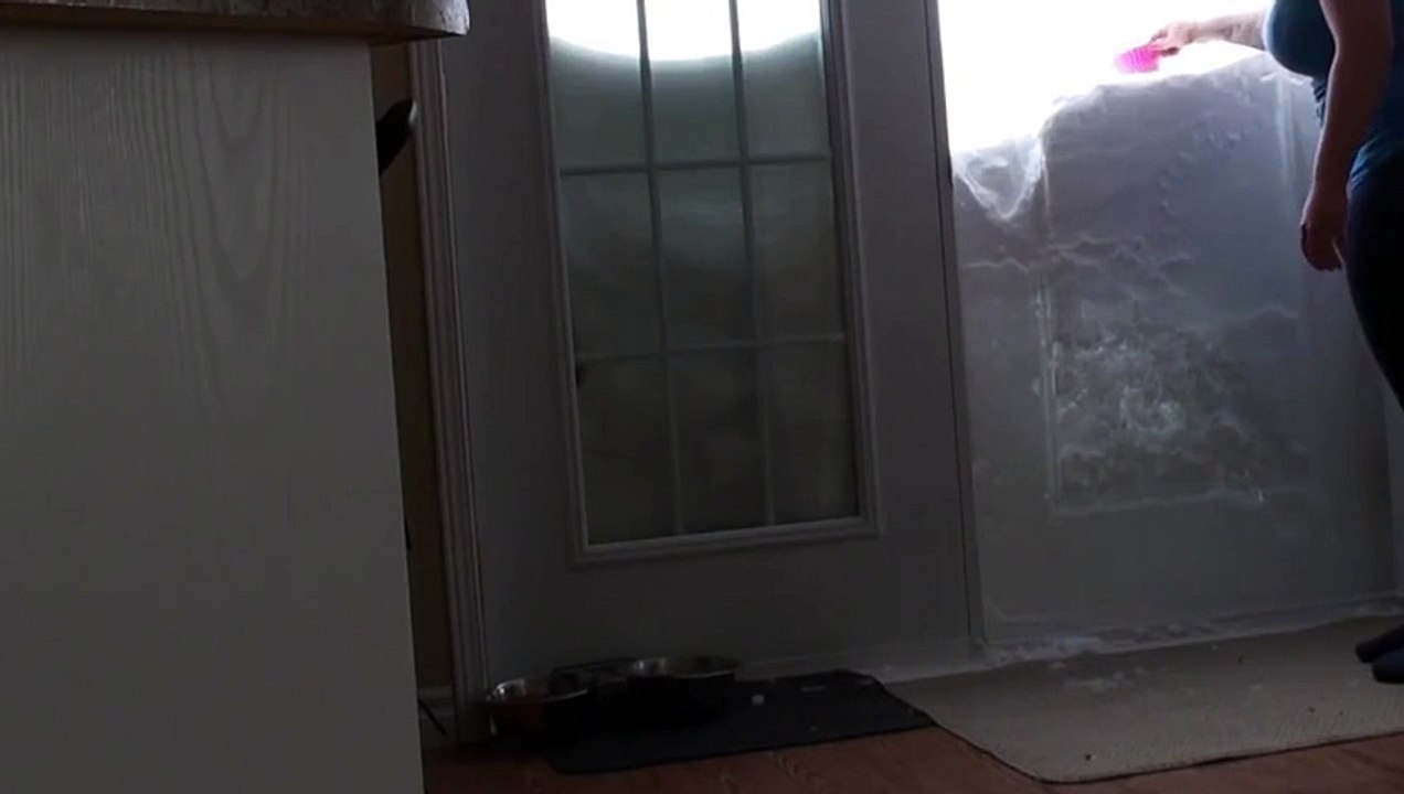Ce chat traverse un mur de neige en slow motion ! Excellent !