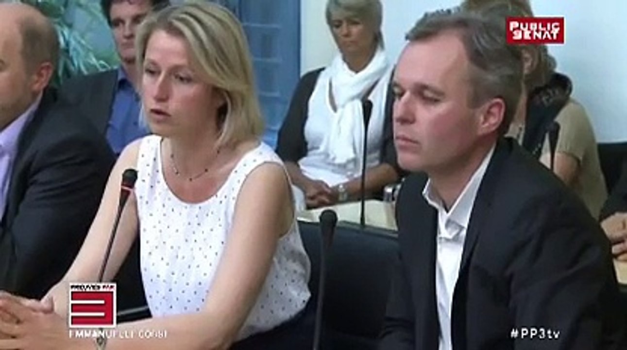 Ca Bouge chez les écolo le reportage Public Senat dans Preuves par 3