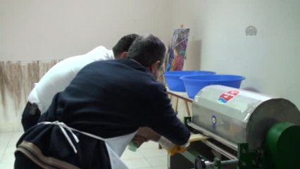 Muz Lifi Ekonomiye Kazandırılacak