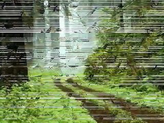 فيروز - شايف البحر شو كبير