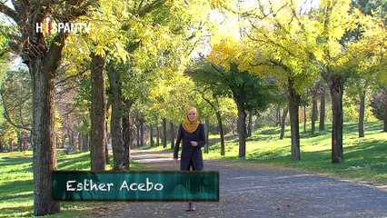 Al Natural - Ensalada de aguacate, infusión de jengibre, batido de plátano y etc.