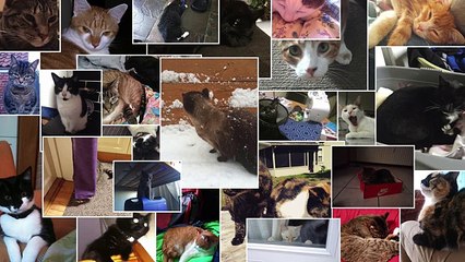 This Video Will Make You Angry