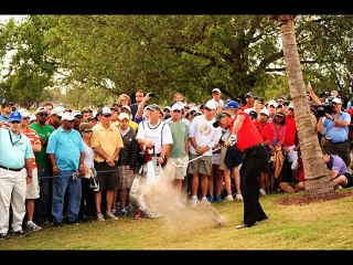 The Best of BunkerShot Golf Volume 3004