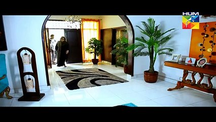 Sartaj Mera Tu Raaj Mera Episode 11 Full Hum Tv 11th March 2015