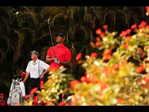 The Best of BunkerShot Golf Volume 3007