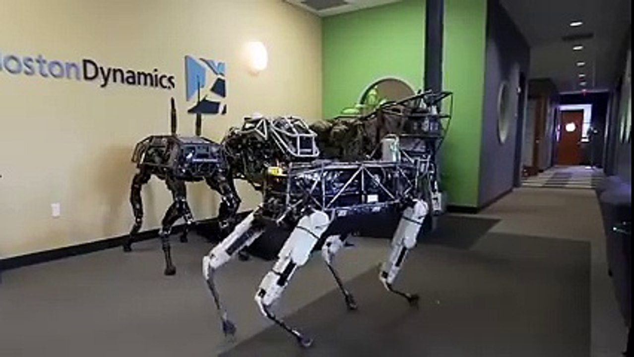 WowScarry Amazing What do you think