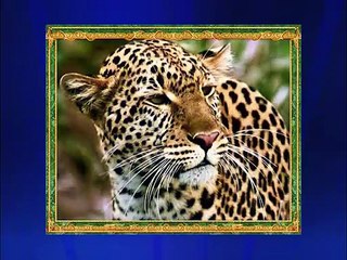 Tüm canlıları yaratan Allah'tır