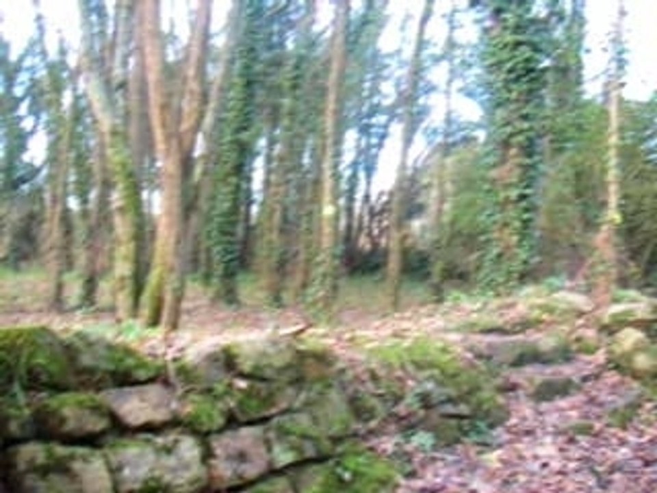SansTitre_0001