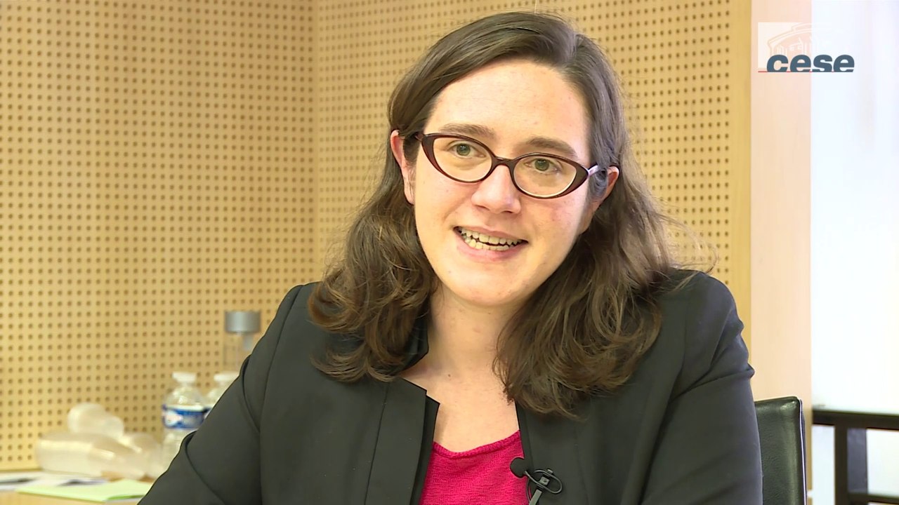 Questions à Marion RABIER (chercheuse ENS/EHESS) - cese