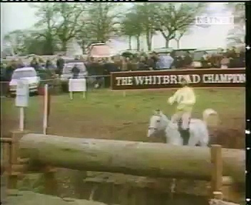 funny animals horse jump