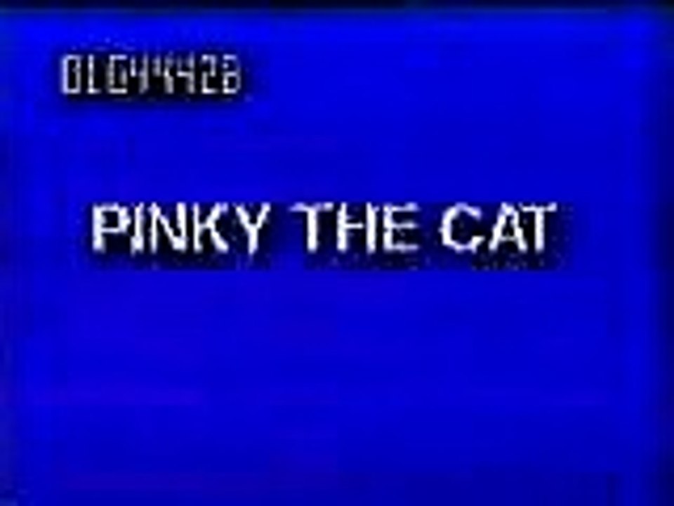 funny animal moments