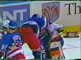 Hockey Goalie Fight