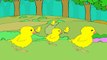 Cock-A-Doodle-Doo - English Nursery Rhymes - Cartoon - Animated Rhymes For Kids