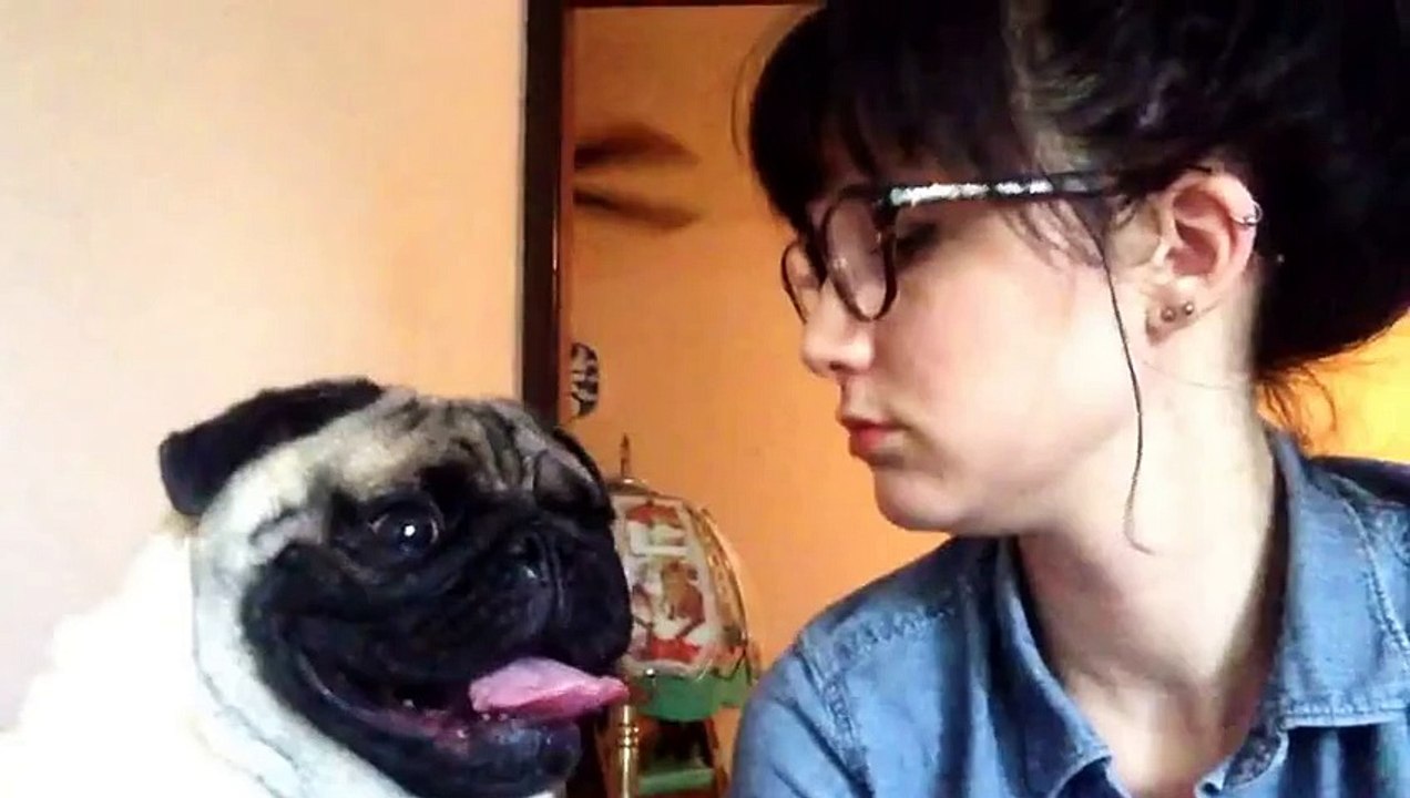 Une maitresse veut faire un bisou à son chien. Il refuse car elle pue de la gueule MDR !