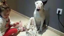 Cette jolie fille joue au vétérinaire avec son chien ! Génial !