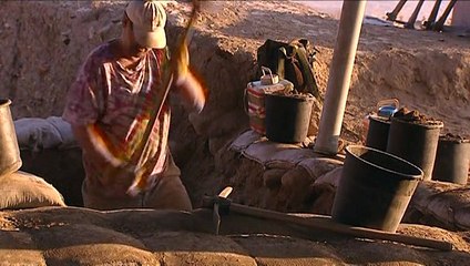 Desenterrar la Biblia: Los Reyes