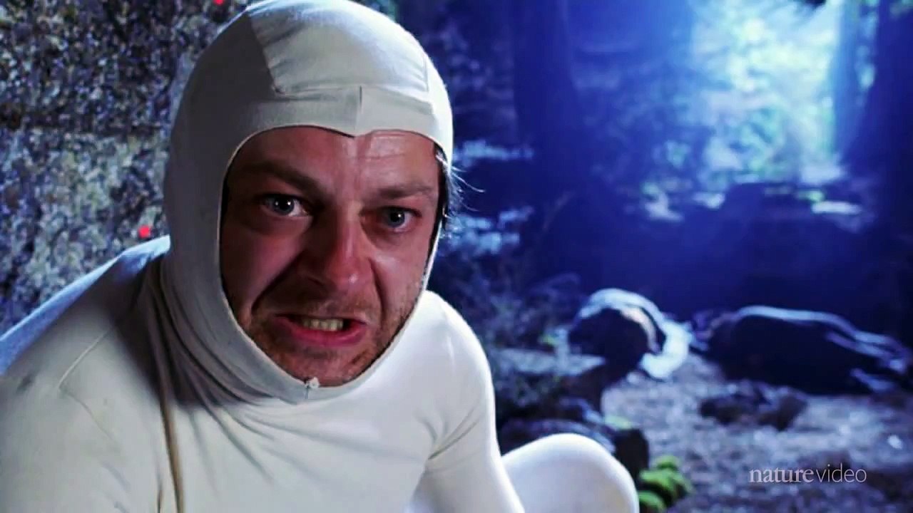 Creating Gollum