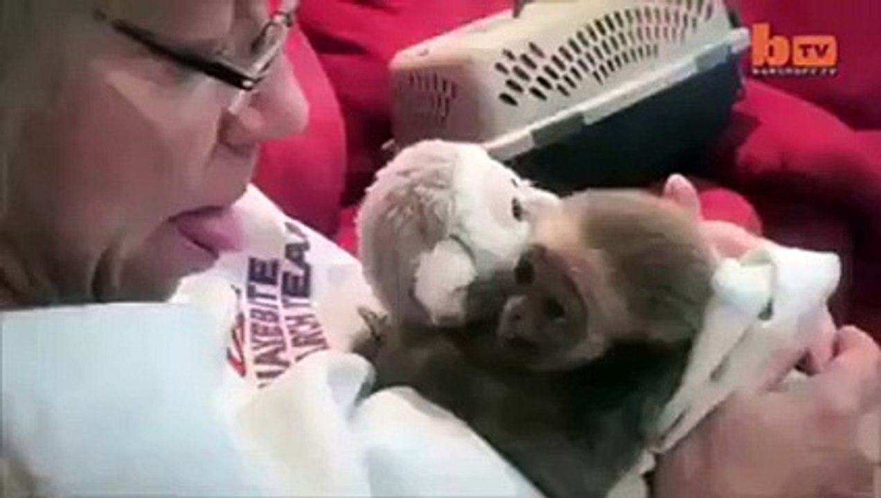 Monkey see monkey do