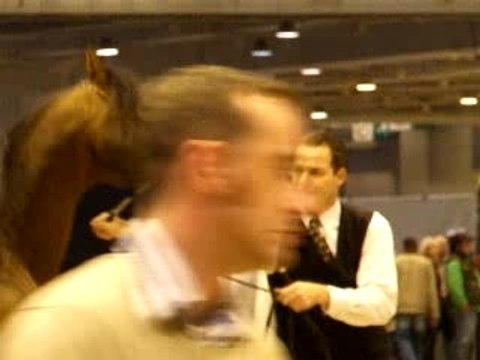 Salon du Cheval 2006