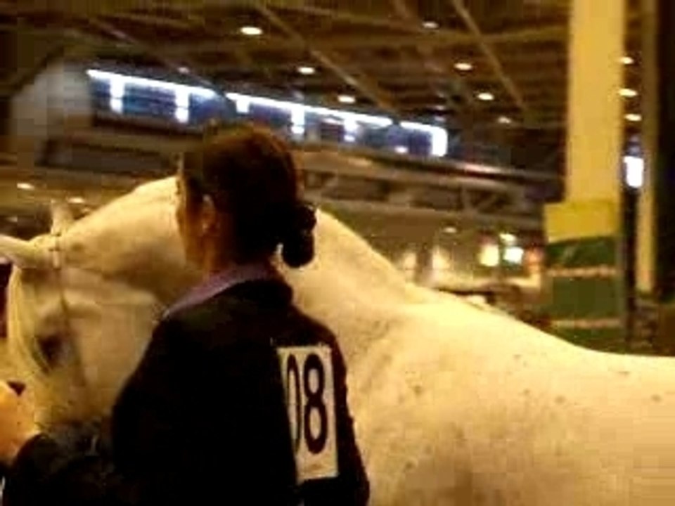 Salon du Cheval 2006