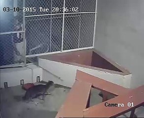 Day 02 Clip 03 Feeding Jump