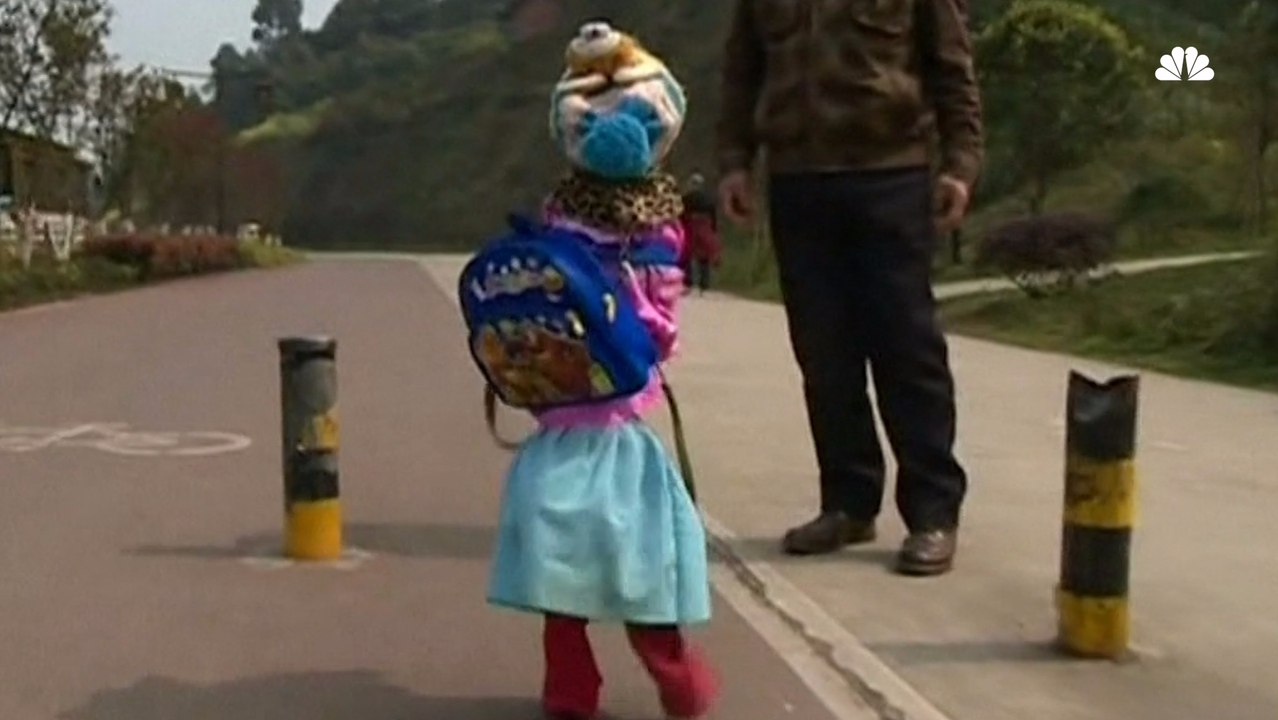 Hind-Leg-Walking Dog Simultaneously Adorable, Terrifying