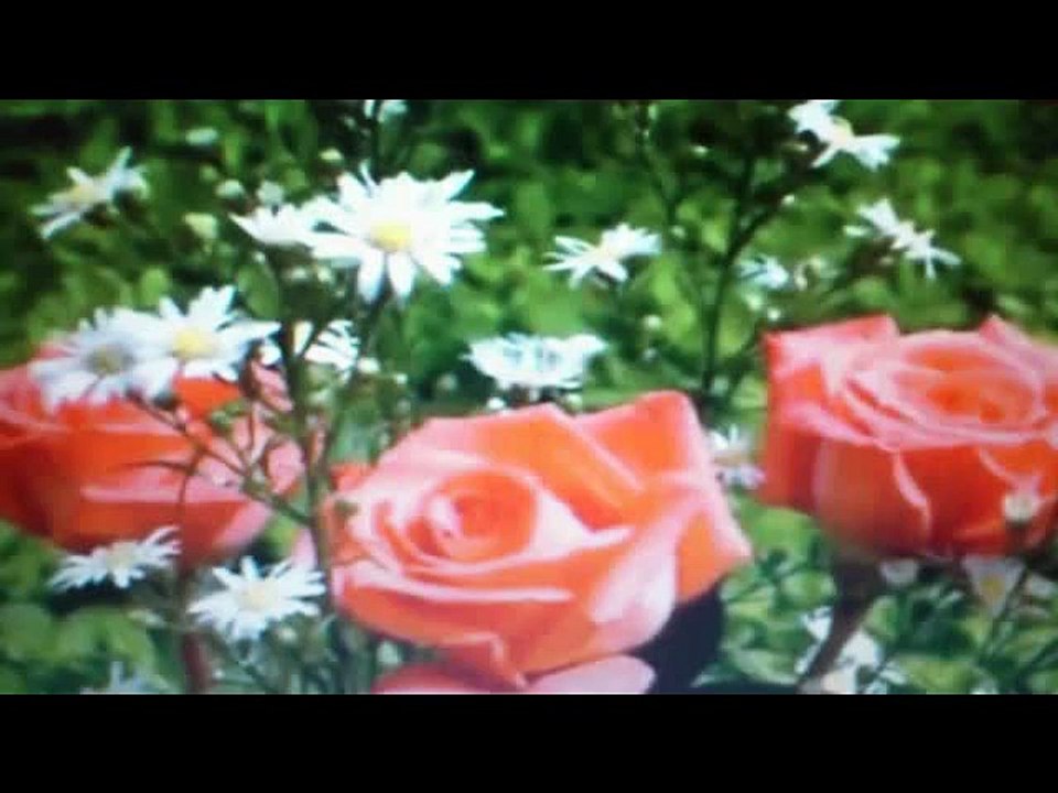 Cantaor flamenco actual | fandangos a mi madre...visíteme en http://cancionesacapela.comuf.com/