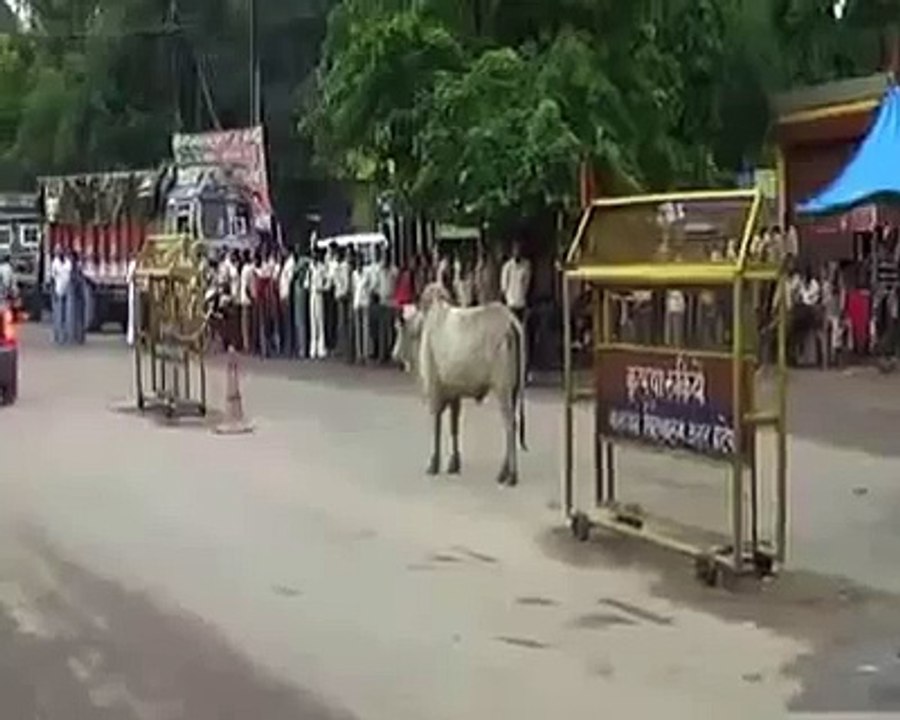 fantastic funny