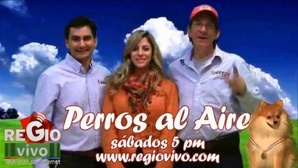 MANDALA AZUL 6 DE MARZO DEL 2015