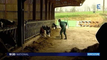 Une baisse des loyers constatée en France