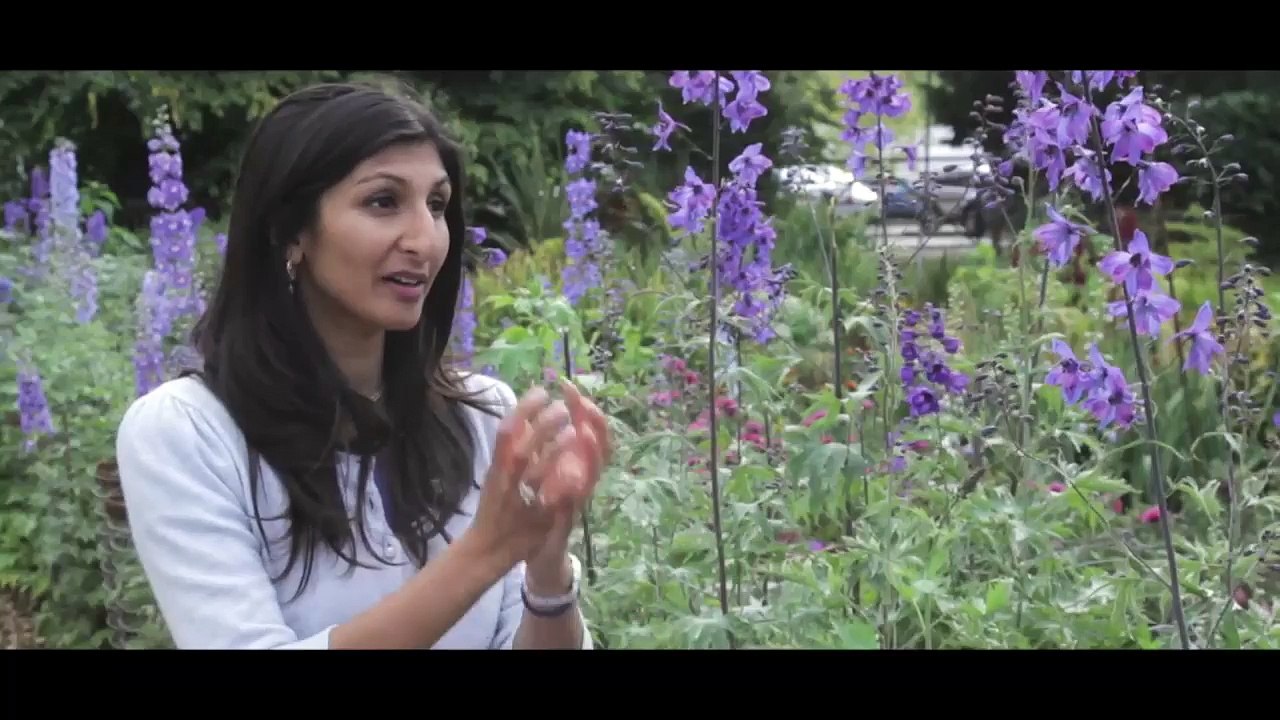 So you want to tell your story using video--HD (REPLAY)