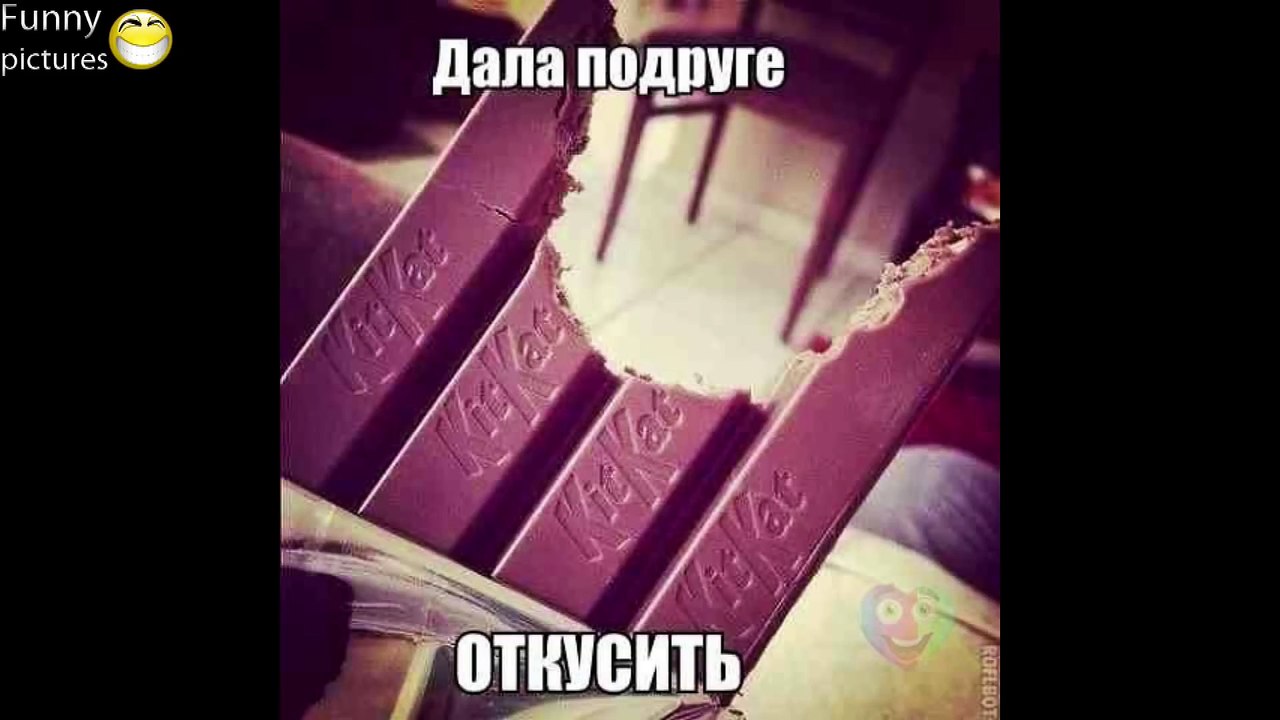 ПРИКОЛЫ 2015 НОВЫЕ ПРИКОЛЫ демотиваторы картинки
