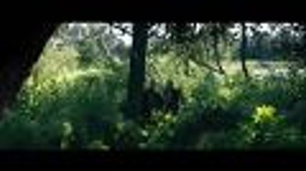 SEEN 2015 - #11 - Folge 4 von 5