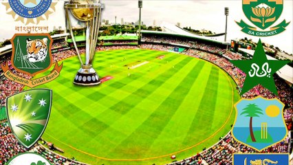 2015 WC Who does India play in quarter final