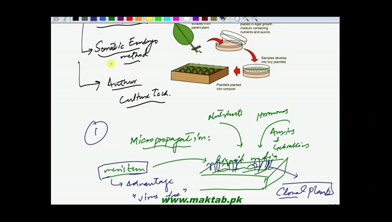 FSc Biology Book2, CH 23, LEC 13, Tissue Culture