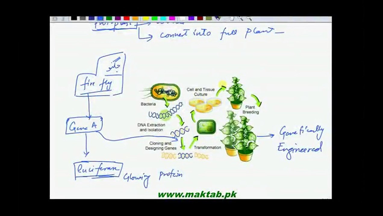 FSc Biology Book2, CH 23, LEC 14, Genetic Engineering in plants