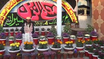 Hai Meri Jaan Aap Par Qurban Ya Rasool(PBUH) - Naat(Urdu) | Muhammad Usman Ghanni