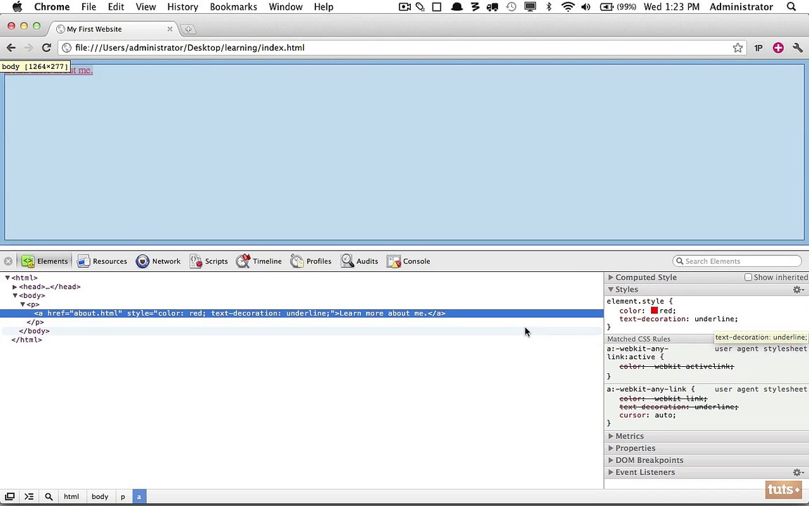 html and CSS-Day-8-Your-First-Stylesheet